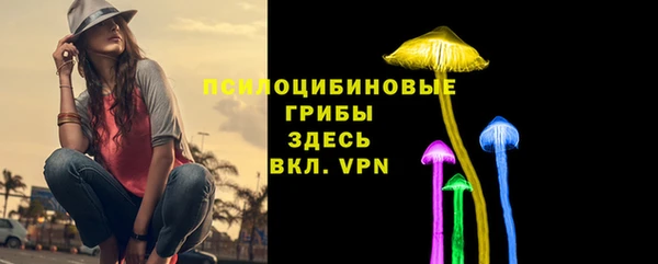 2c-b Богородск