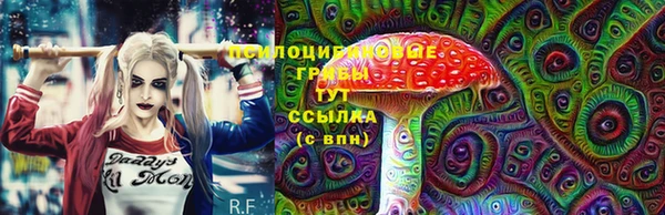 2c-b Богородск