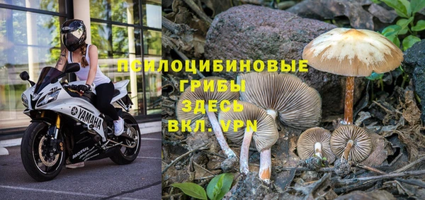 таблы Богородицк