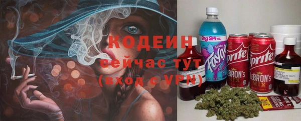 apvp Верхний Тагил